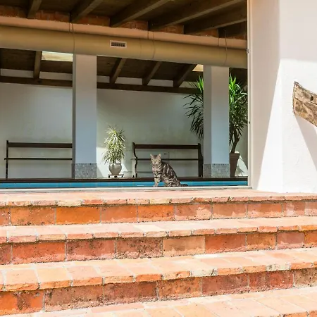 Mandorlo By Interhome Semesterbostad *